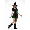 thumbnail image 5 of Black Shimmer Witch Adult Costume, 5 of 6
