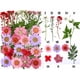 thumbnail image 3 of Muchas flores prensadas secas reales, flores secas, hojas mixtas, flores secas para bricolaje Rosa, 3 of 3