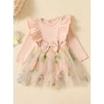 thumbnail image 2 of GXFC Baby Girls Fall Princess Dress Clothes 3M 6M 9M 12M 18M Infant Girls Long Sleeve Bow Embroidery Romper Dress Mesh Tulle A-line Dress Spring Autumn Clothing for Newborn Girls, 2 of 9