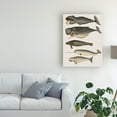 thumbnail image 3 of Trademark Fine Art 'Five Vintage Whales' Canvas Art by Fab Funky, 3 of 3