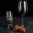 thumbnail image 3 of Red Wine Aerator Filter Magic Decanter Essential Aerator Set Sediment Filter Pouch Travel Gift Wine Decanter, 3 of 3