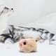 thumbnail image 3 of Juguete de gato con dirección automática, portátil, vivo, eléctrico, interactivo, novedad, simulación, mascota hámster marrón Zulema Juguetes para gatos, 3 of 8