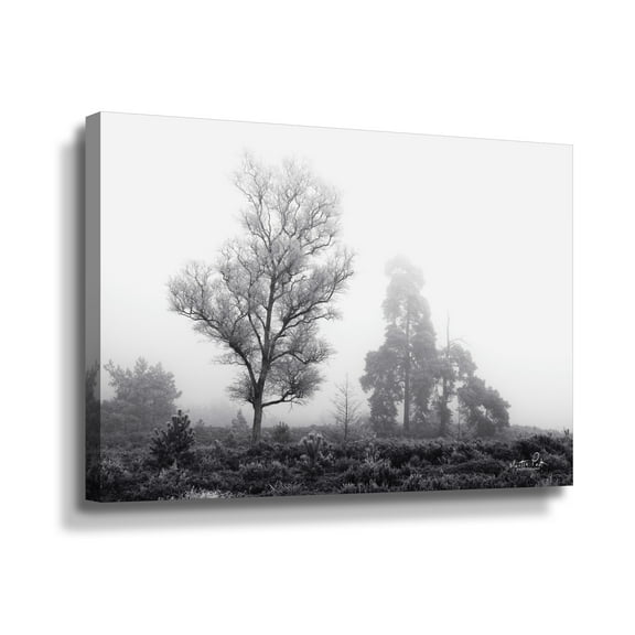 Artwall Less is More, Gallery Wrapped Canvas by Martin Podt