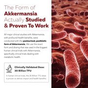 Triquetra Health AK-Postbio: Akkermansia Probiotic 30 Billion TFU