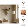 thumbnail image 5 of Bull Skull with Succulents for Home and Room Decor - Wall Display for Bedroom, Living Room, Office, Entryway or Hallway - Hanging Wall Art Decor Accent for Interior Display - 18", Ivory & Brown, 5 of 10