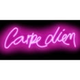 thumbnail image 3 of Carr, Hailey 14x9 Black Modern Framed Museum Art Print Titled - Neon Carpe Diem PB, 3 of 5