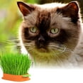 thumbnail image 4 of Flower Pot Cat Planter Hydroponic Kit for Soilless Indoor Growing Cat-Themed Garden Accessory, 4 of 4