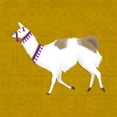 thumbnail image 3 of Noonday Design 12x12 Black Modern Framed Museum Art Print Titled - Lovely Llama Jewel Tones IV-Gold, 3 of 5