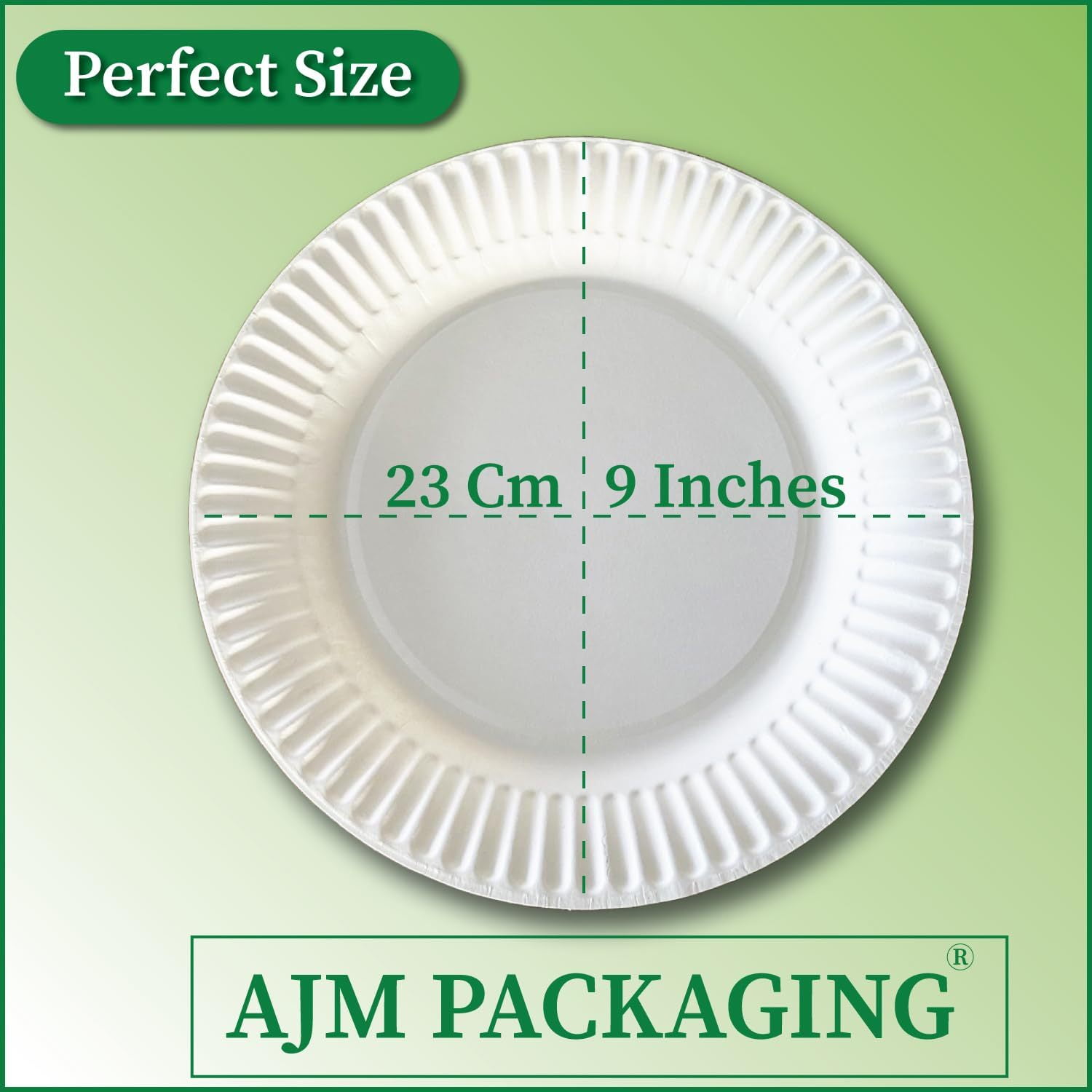 AJM Packaging - AJMPP9GRAWH Corporation PP9GRAWH Paper Plates, 9" Diameter, White, 12 Packs of 100 (Case of 1200)