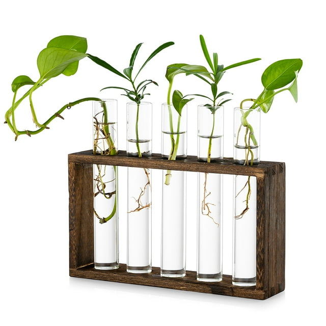 Tabletop Hanging Glass Planter Propagation Station Modern 5 Test Tube Flower Bud Vase in Wood Stand Rack Tabletop Terrarium for Hydroponic Plants Cuttings Office Home Decoration, Gift for Plant Lover