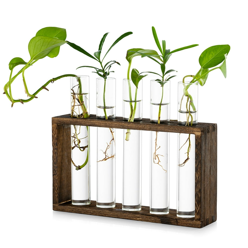 Tabletop Hanging Glass Planter Propagation Station Modern 5 Test Tube