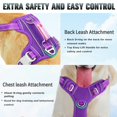thumbnail image 3 of Arnés para perros BARKBAY, reflectante, sin tirones, con clip frontal, color morado L, 3 of 9