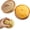 B-yellow, variant on Dumpling Squishy - Squishy Dumplings with Steamer Box, Soft Squeeze Decompression Dough Fidget, Large Stress Relief Sensory Ball, 6 Colors, for Adults