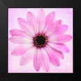 thumbnail image 2 of Greene, Taylor 12x12 Black Modern Framed Museum Art Print Titled - DAISY CHAIN 4, 2 of 5
