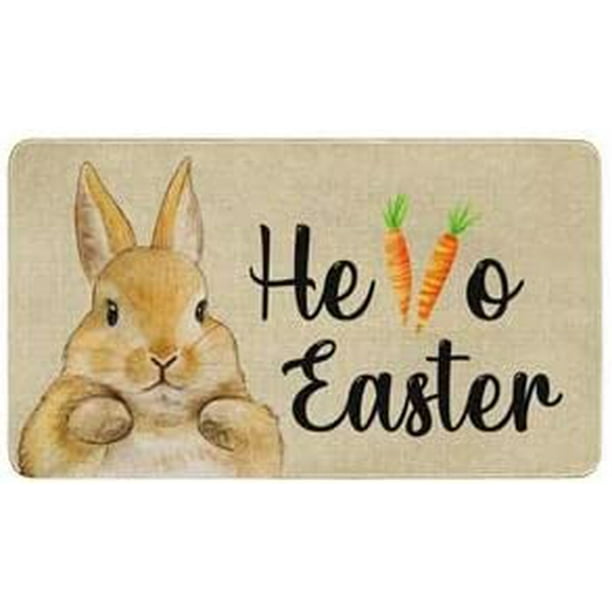 Mloabuc Hello Easter Decor Door Mat Bunny Farmhouse Mats