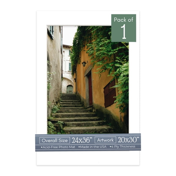 White Picture Frame Mat for 24x36 Frames - Fits 20x30 Photos - 1 Mat