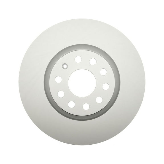 Raybestos 980383FZN Rust Prevention Technology Coated Rotor Brake Rotor, 1 Pack Fits select: 2012-2021 VOLKSWAGEN PASSAT, 2010-2012 VOLKSWAGEN JETTA