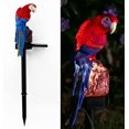 thumbnail image 1 of Luces Solares Decorativas Zhivalor Loro Rojo WMZY-1282-2, 1 of 7