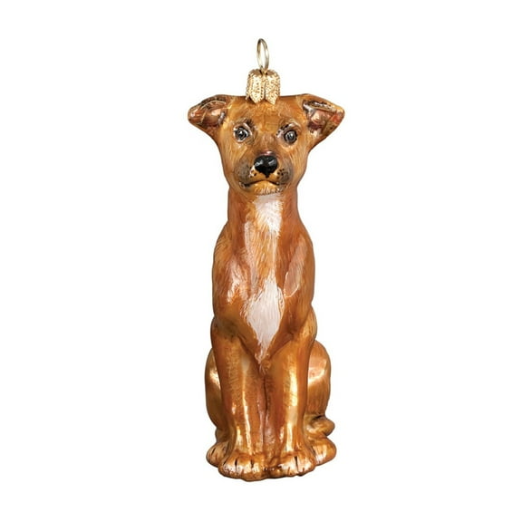 Italian Greyhound Sitting Dog Polish Blown Glass Christmas Ornament