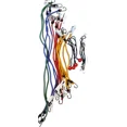 thumbnail image 2 of 25 Piece Of Bungee Cord Straps Assortment Variety Multi-Purpose Uses For Camping, 2 of 6