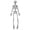 CC2-Silver, variant on Halloween Disco Skelton Retro Party Decoration, Funky Skeleton Display Figure for Halloween Shelf, Entry Table, Office Desk, Bar Setup, Dance Theme Room, Photo Booth, and Seasonal Decor Accent