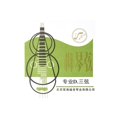thumbnail image 1 of Ready Stock Professional Liuqin Strings Full Set 1/2/3/4 Chinese Traditional Instrument, 1 of 1