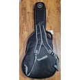 thumbnail image 2 of Nashville Guitar Works padded deluxe gigbag, 2 of 5
