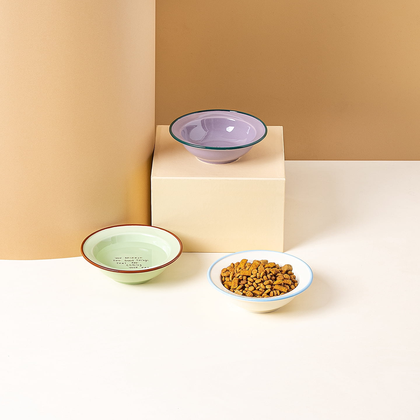 Elevated Ceramic Pet Bowl, Spine Friendly Raised Feeding Bowl, Stylish Food Basin for Cats and Dogs