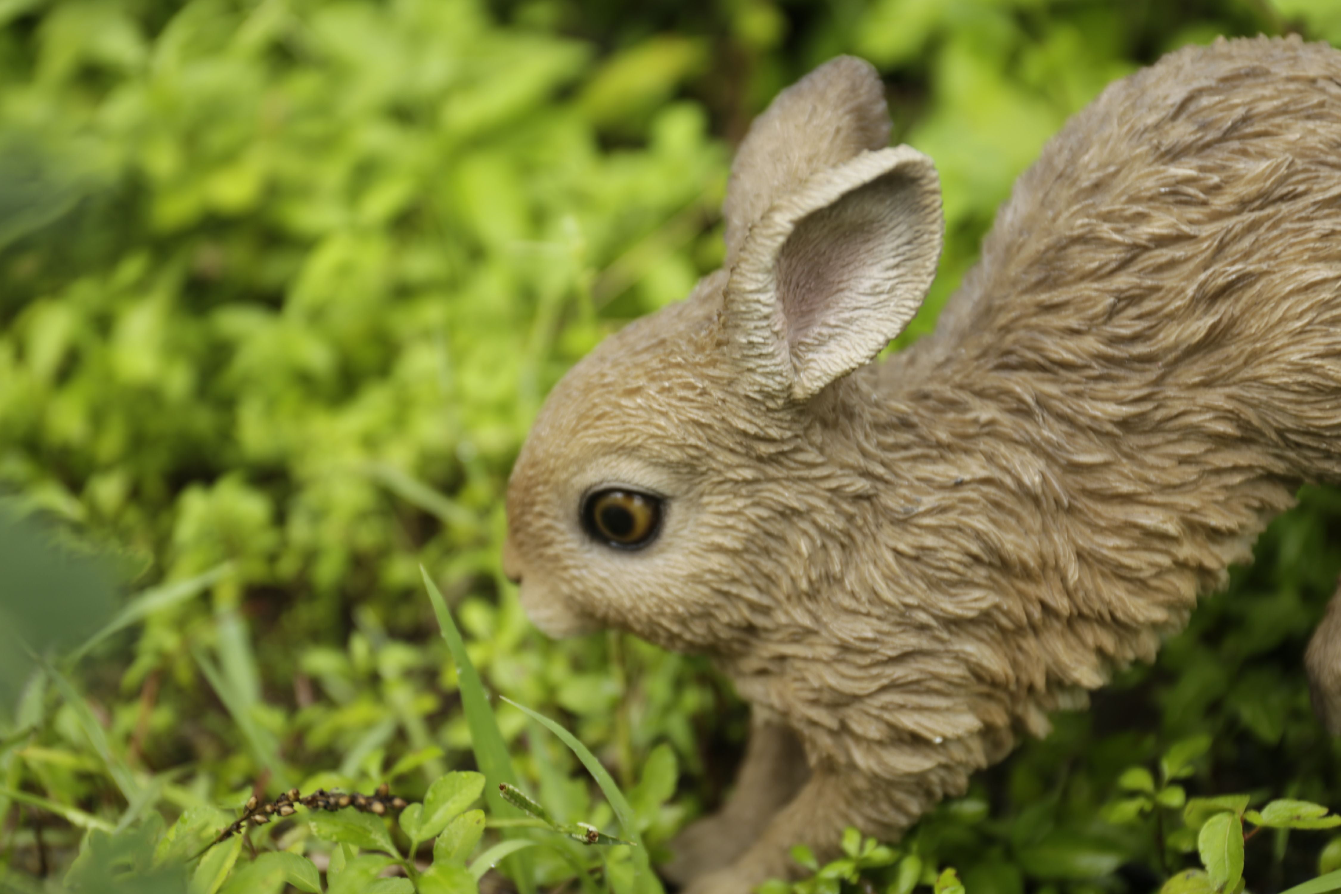 HARE CUB RUNNING STATUE
