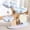 PASTEL RAINBOW, variant on Modern Cat Tree Tower for Indoor Cats Large Adult, 37 inch Flower Cat Tree with Scratching Post, Luxury Aesthetic Cat Tree with Cloud-Soft Flower Perches and Physical Mouse-Sound Hanging Toy