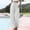 White #3, variant on Plus Size Linen Pants for Women Summer Cotton Pants Women 2025 Soft Casual Solid Color Drawstring Tie Elastic Waist Cargo Pants with Pockets Loose Fit White XXXL #4