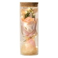 thumbnail image 2 of Flor Rosa En Vidrio Con Luces Aniversario Flor Preservada En Vidrio Estilo B, 2 of 8