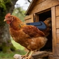 thumbnail image 4 of 1/2 Pieces Chicken Saddle for Hens, Outdoor Hen Apron with Adjustable Strap Chicken Vest Jacket Clothes for Protective Poultry Feather Sling Back & Sides Protector Accessories, 4 of 7