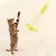 thumbnail image 1 of Teaser de gatos colgantes Pega una pelota, 1 of 5