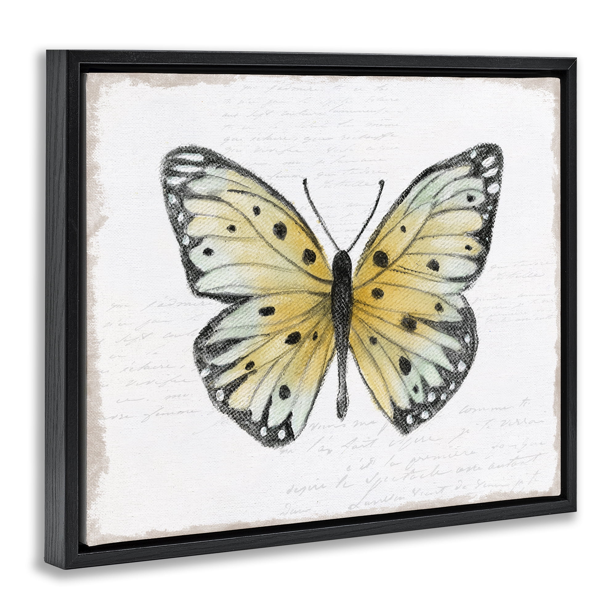 Stupell Industries Beautiful Butterfly on White Animals Painting Black Floater Framed Canvas Art Print Wall Art, 21 x 17