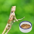 thumbnail image 4 of Reptile Food Bowl Lizard Gecko Food Water Dish Bearded Dragon Feeding Dish Ceramics Worm Dish for Lizard Anoles Spiders, 4 of 9