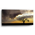 thumbnail image 2 of Epic Art  'Lone Tree In The Morning Light'  by Don Schwartz, Acrylic Glass Wall Art, 24"x12", 2 of 8