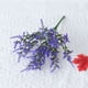 thumbnail image 2 of Clearance!12 paquetes de plantas de flores artificiales de lavanda con 7 tallos flexibles plantas de plástico de imitación resistentes a los rayos UV de 14 pulgadas para exteriores, 2 of 3