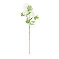 thumbnail image 1 of 28 Inch White Snowball 3 Bloom Hydrangea Stem Spray, 1 of 1