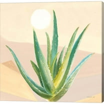Great Art Now Desert Greenhouse V by Danhui Nai, Canvas Wall Art, 12W x 12H