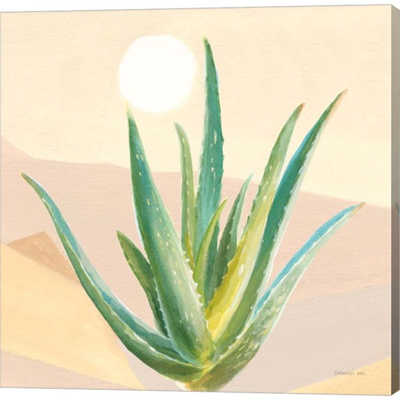Great Art Now Desert Greenhouse V by Danhui Nai, Canvas Wall Art, 12W x 12H