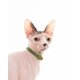 thumbnail image 5 of Collar para gatos Nuvuq Comfortable Breakaway Safety Hebilla Verde, 5 of 7