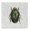 Dung Beetle Botanical Floral, variant on Stupell Industries Transitional Beetle with Botanical Pattern Canvas Art, 17 x 17, by Danhui Nai