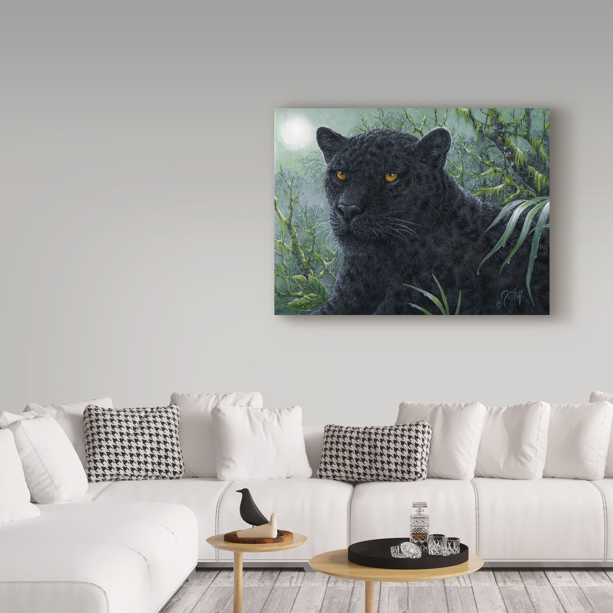 Trademark Fine Art 'Black Beauty' Canvas Art by Jeff Tift