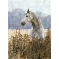 thumbnail image 2 of Stellar Design Studio 19x24 Gold Ornate Wood Framed with Double Matting Museum Art Print Titled - Beauty, 2 of 4
