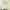 Black, variant on Clavie Arched Window Mirror, Modern Arched Mirror with Metal Frame Decorate, Wall Mirror Vanity Mirror for Bathroom Bedroom，Gold