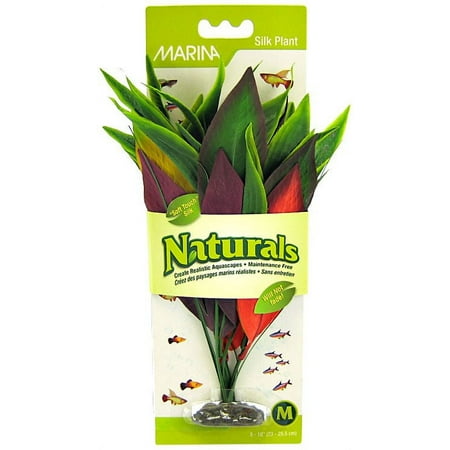 Marina Naturals Red/Yellow Dracena Silk Plant, Medium