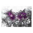 thumbnail image 3 of Tiptophomedecor Floral Wallpaper Wall Mural - Secret Of The Lily, 3 of 4