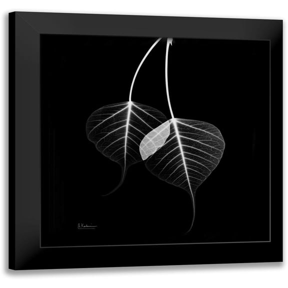 Koetsier, Albert 12x12 Black Modern Framed Museum Art Print Titled - Bodhi Tree STAR