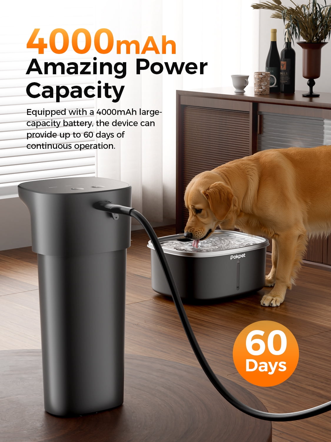 2.64 Gallon Large Capacity Automatic Dog Cat Water Fountain, Black